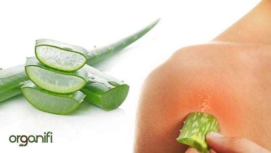 The Benefits Of Aloe Vera