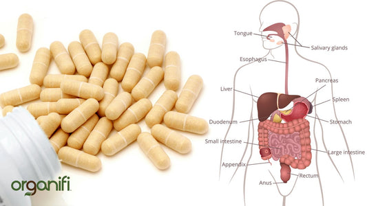 What Are Enzymes & Why Do I Need Them?