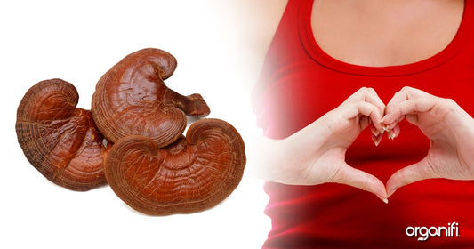 5 BENEFITS OF RED REISHI MUSHROOMS (AND HOW TO GET THEM)