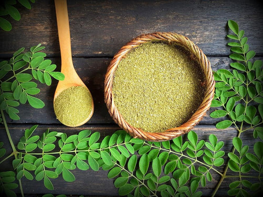 5 Reasons You Need Moringa In Your Diet