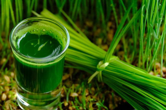 Why You Need To Add Wheatgrass To Your Healing Supplies