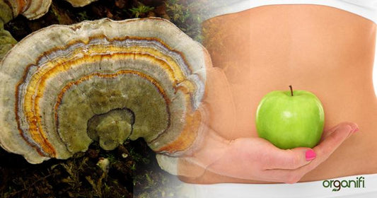 7 WAYS TURKEY TAIL MUSHROOM COULD ENHANCE IMMUNITY